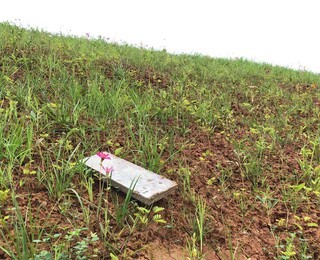 北京微生物制劑 礦山生態(tài)修復(fù)與環(huán)境污染治理的創(chuàng)新利器