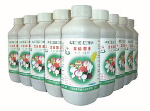 濟(jì)寧高新區(qū)科信生物開發(fā)制品廠 生物修復(fù)制劑的綠色創(chuàng)新之路